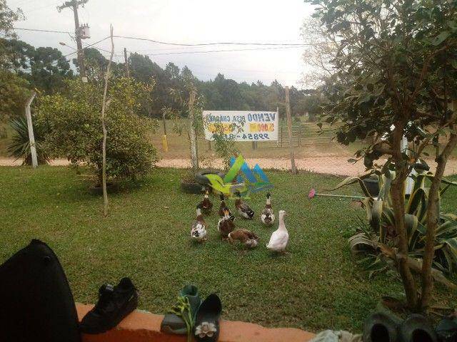 Chácara à venda com 4 quartos, 100m² - Foto 22