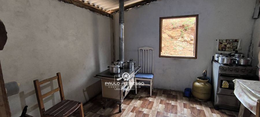 Sítio, 7 hectares - Foto 3