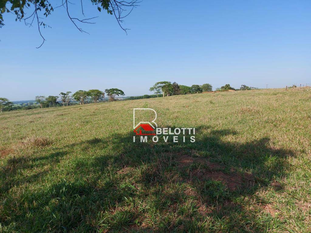 Fazenda, 484 hectares - Foto 4