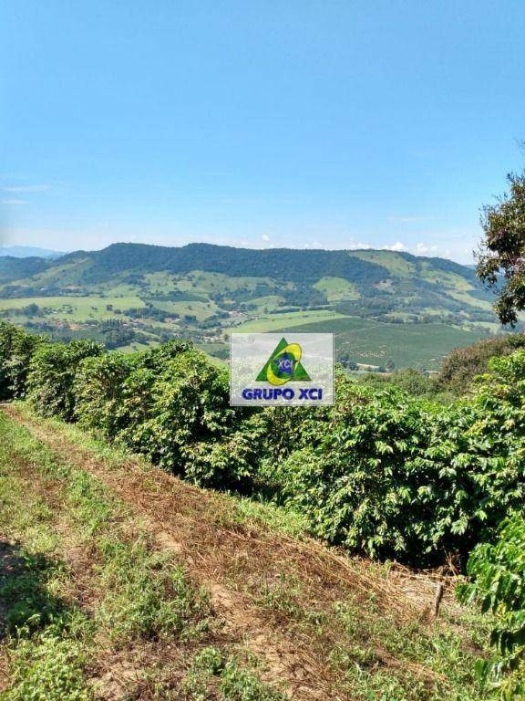 Sítio à venda, 217800M2 - Foto 49