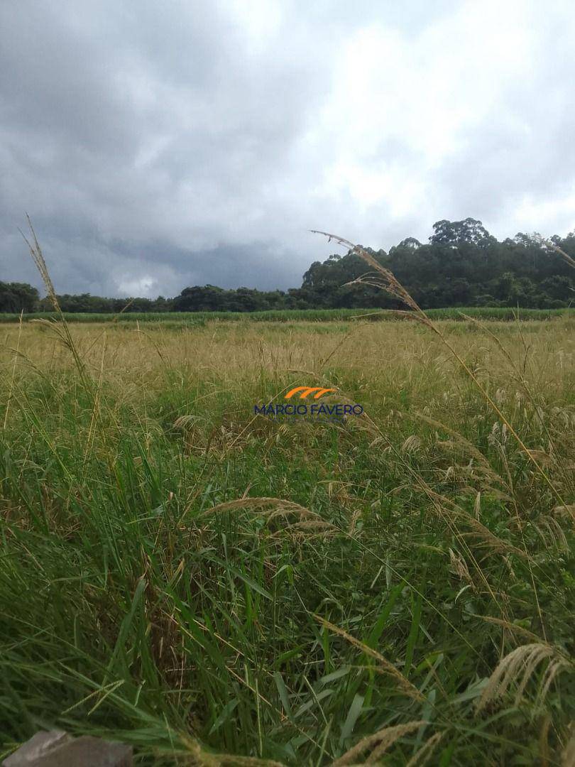 Fazenda, 102 hectares - Foto 15