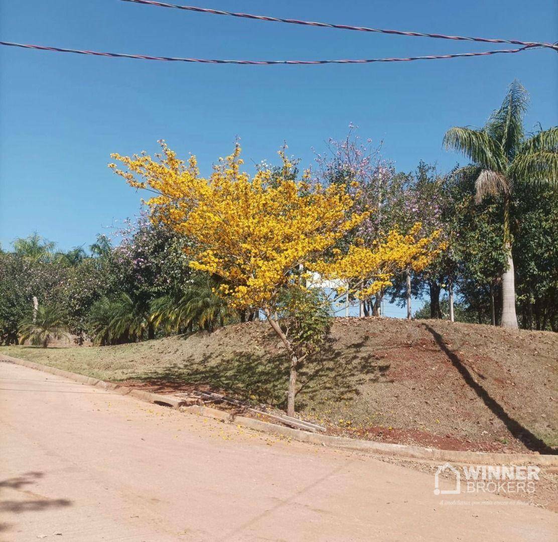 Terreno à venda, 360M2 - Foto 6