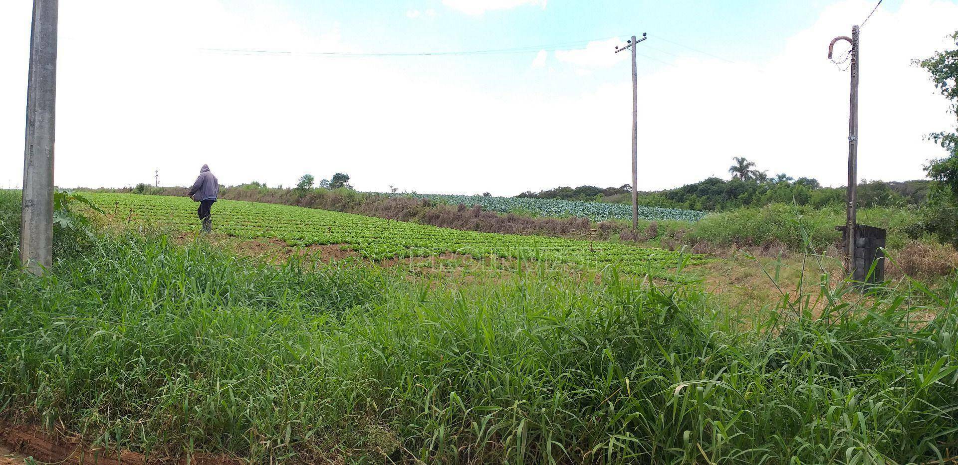 Terreno à venda, 822000M2 - Foto 29