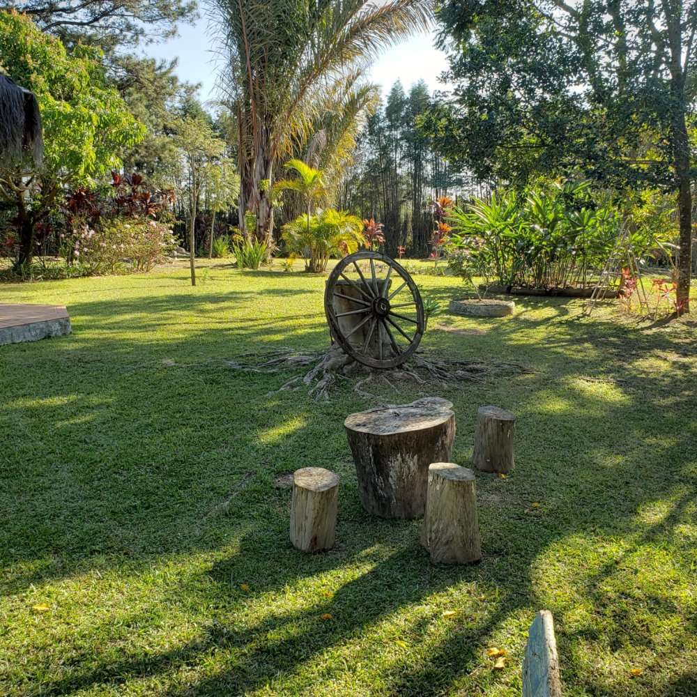 Chácara à venda com 3 quartos, 24000m² - Foto 12