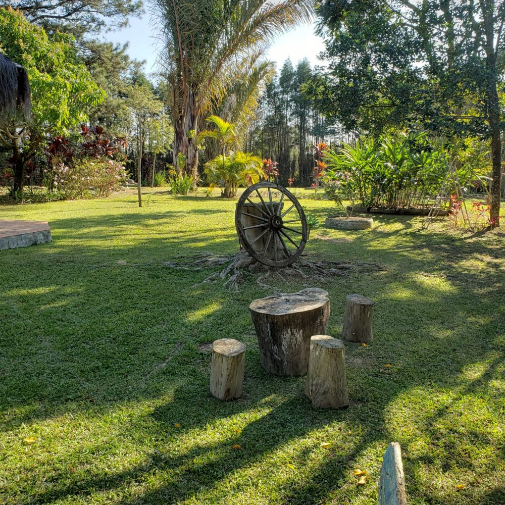 Fazenda à venda com 3 quartos, 24000m² - Foto 12