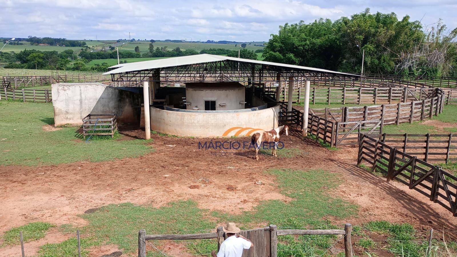 Fazenda à venda, 10890000M2 - Foto 2