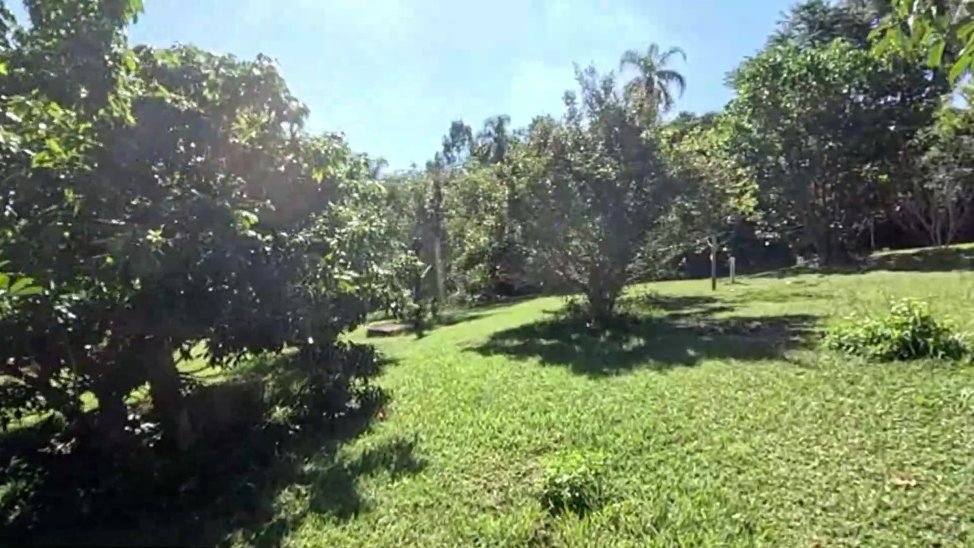 Loteamento e Condomínio à venda, 6500m² - Foto 41