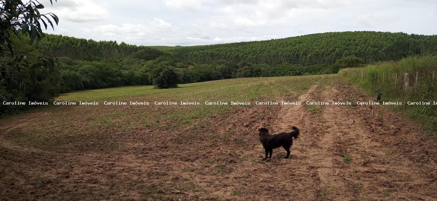 Fazenda à venda com 2 quartos, 220000m² - Foto 17