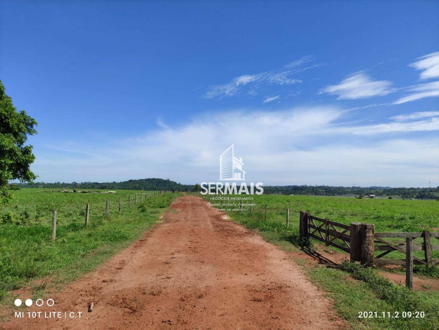 Fazenda-Sítio-Chácara, 968 hectares - Foto 3