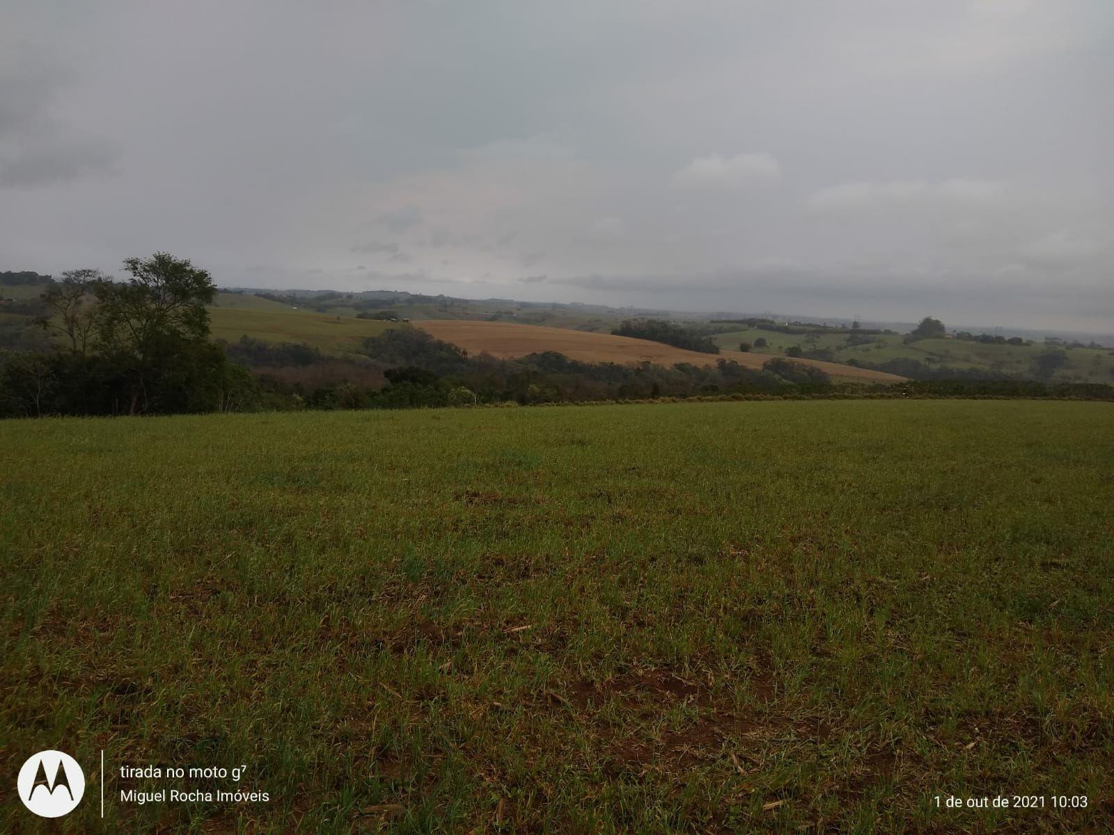 Fazenda à venda com 8 quartos, 3146000m² - Foto 1