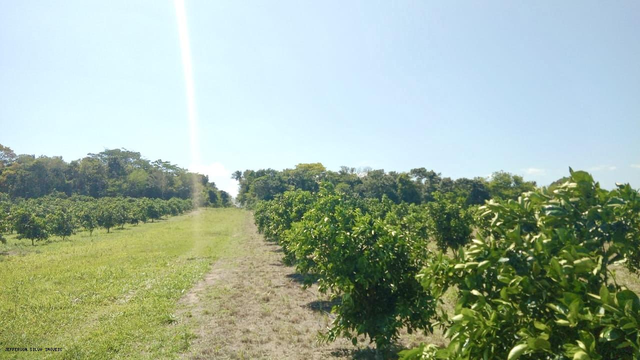 Fazenda à venda, 500000m² - Foto 10