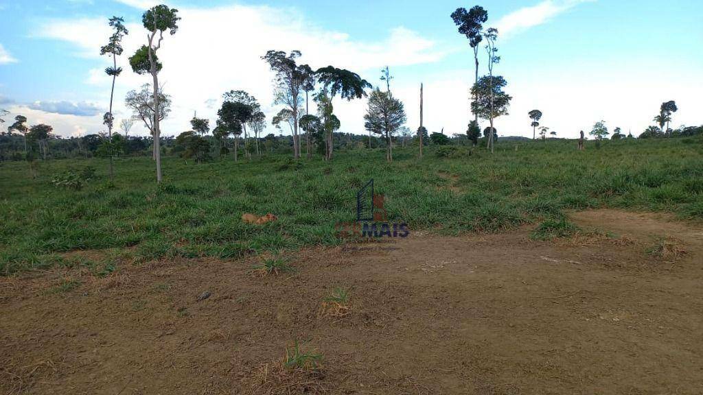 Fazenda à venda com 4 quartos, 6001600M2 - Foto 7