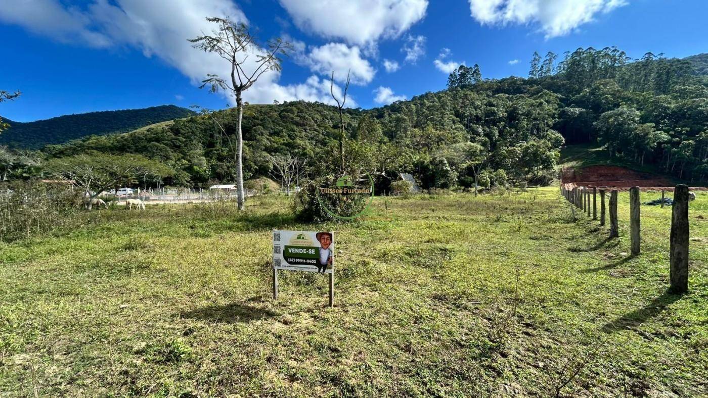 Terreno, 4 hectares - Foto 5