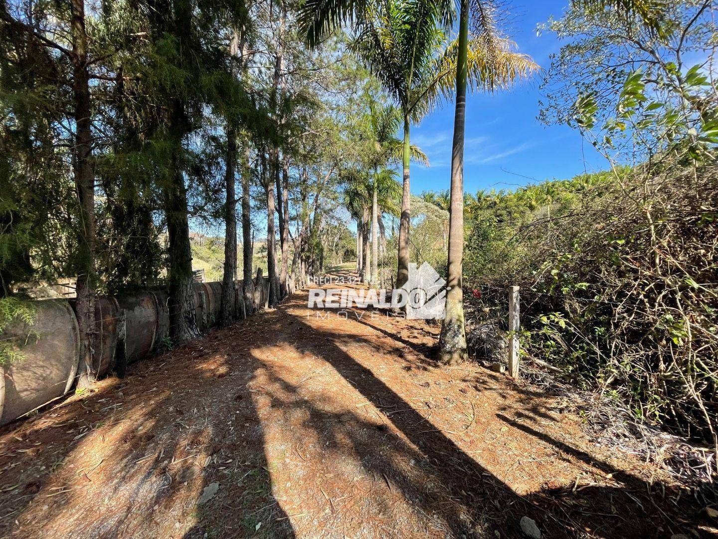 Sítio, 1 quarto, 3 hectares - Foto 2