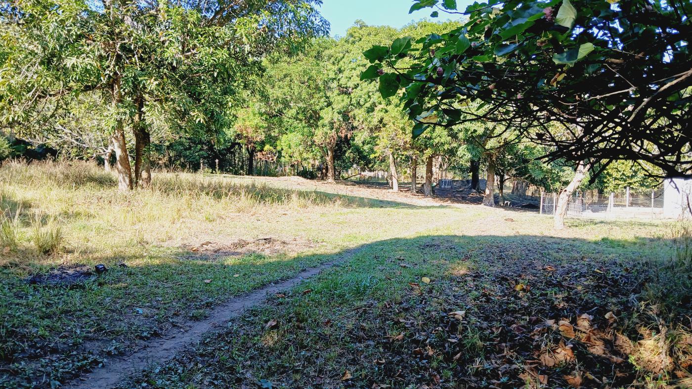 Fazenda à venda com 3 quartos, 100000m² - Foto 22