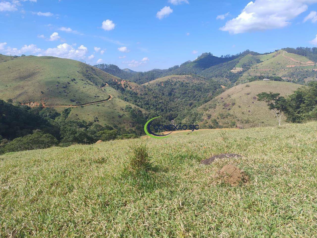 Sítio à venda com 2 quartos, 726000M2 - Foto 13