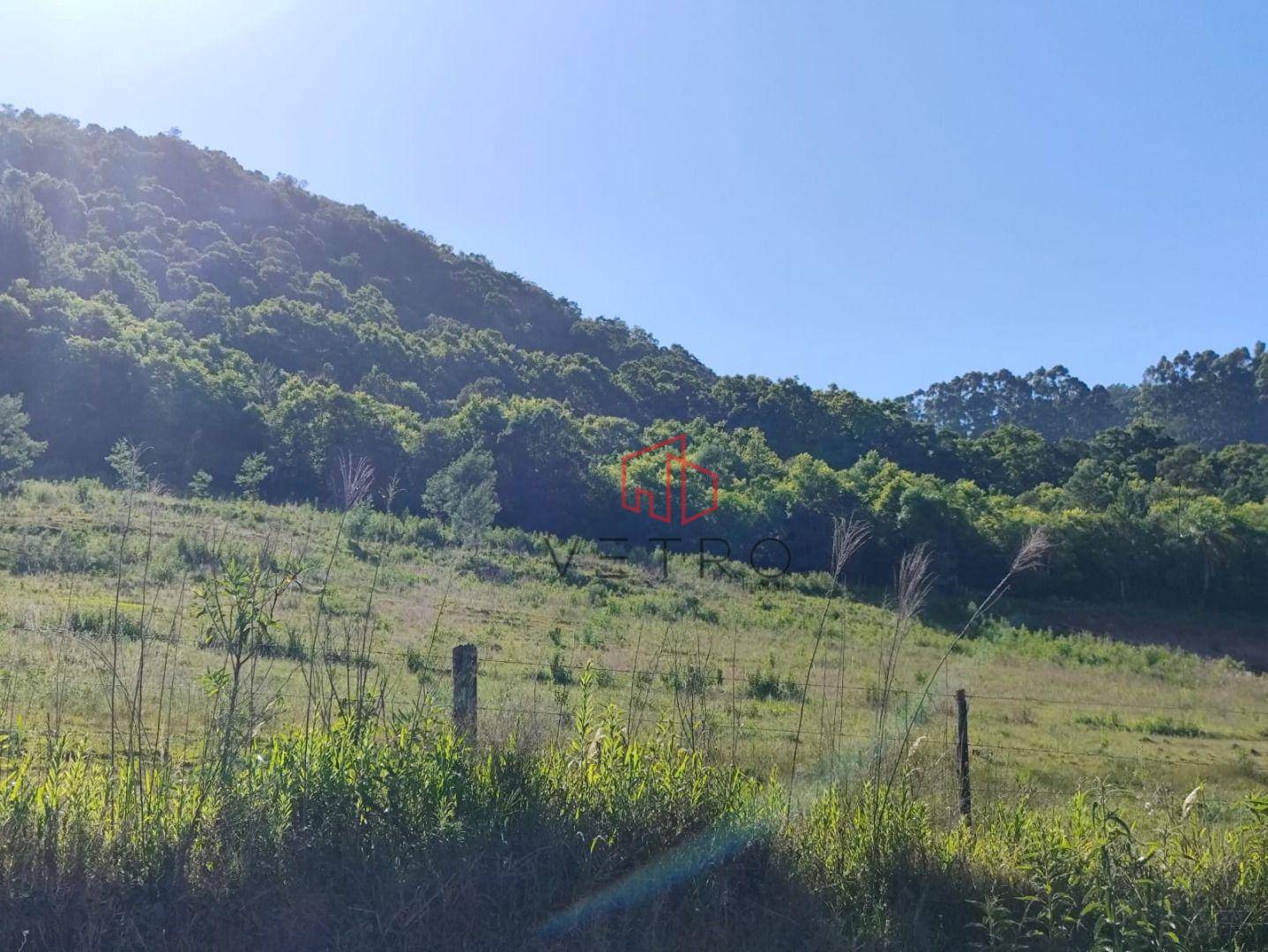 Sítio, 4 hectares - Foto 8