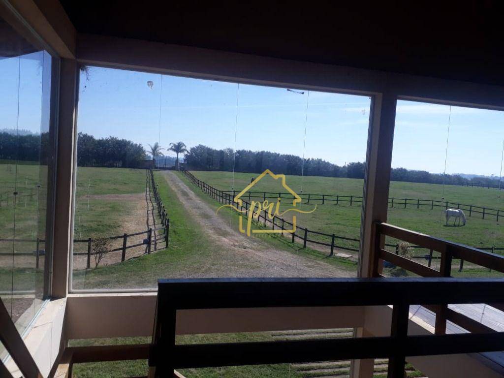 Haras e Área Rural Padrão à venda com 4 quartos, 1000m² - Foto 22