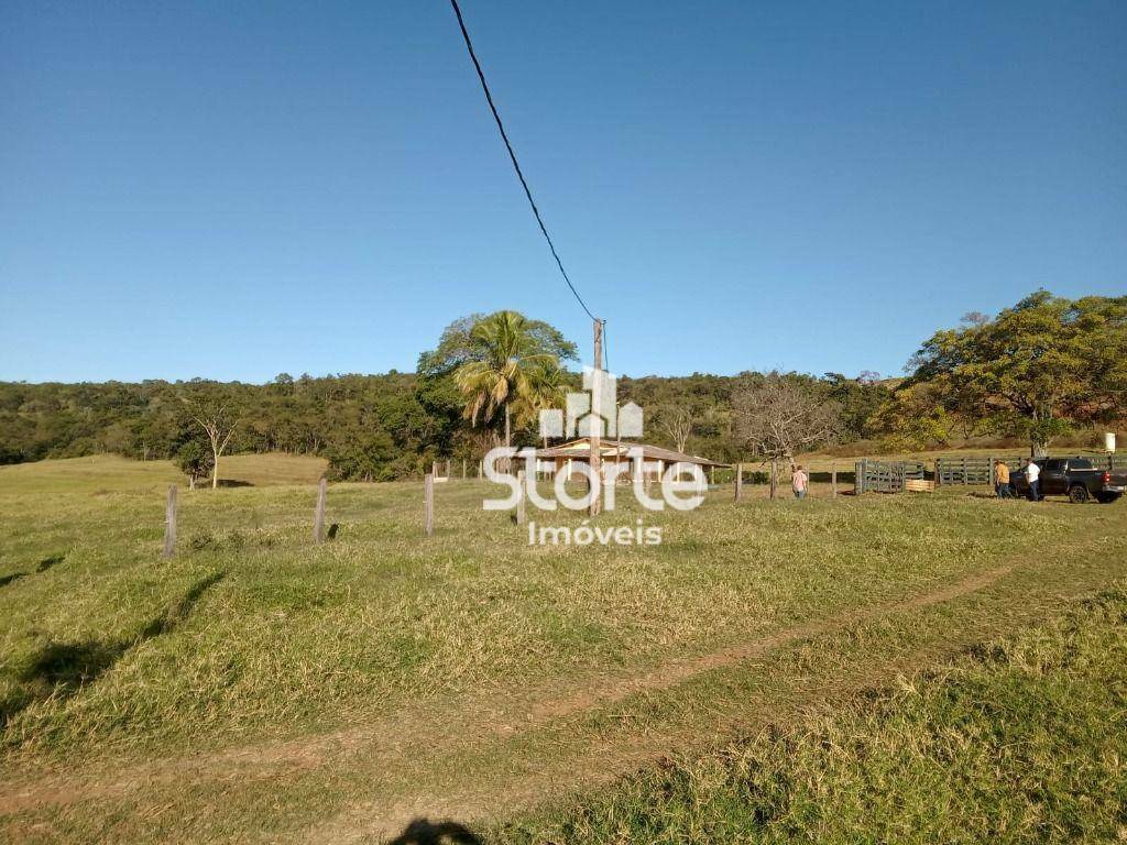 Fazenda à venda, 3242800M2 - Foto 20