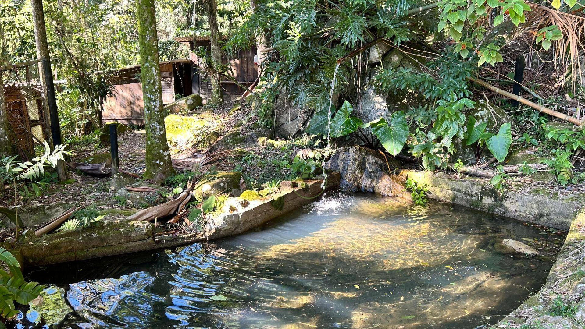 Sítio, 14 hectares - Foto 2