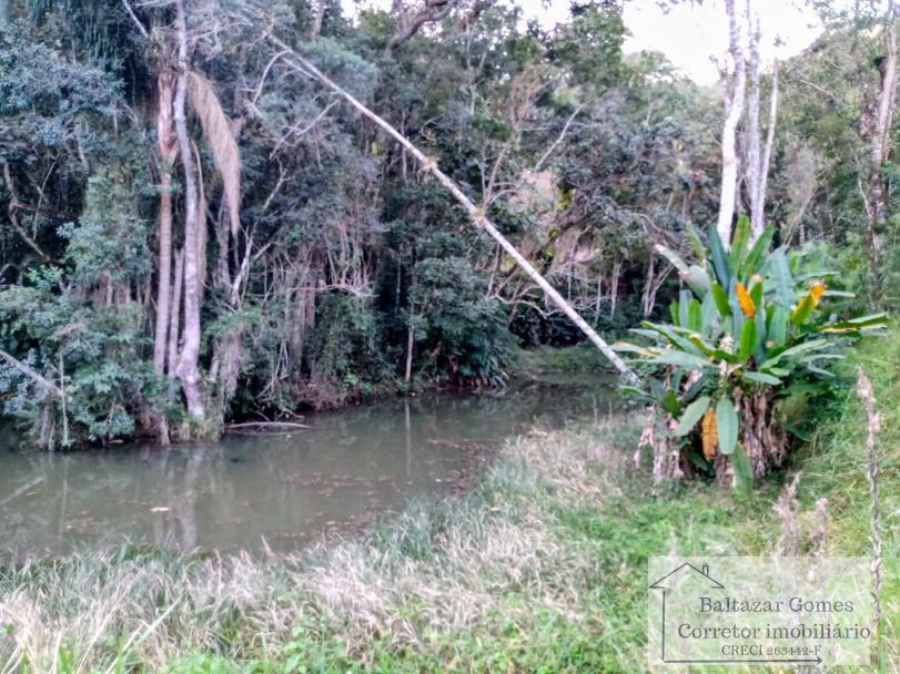 Fazenda à venda com 3 quartos, 20000m² - Foto 5