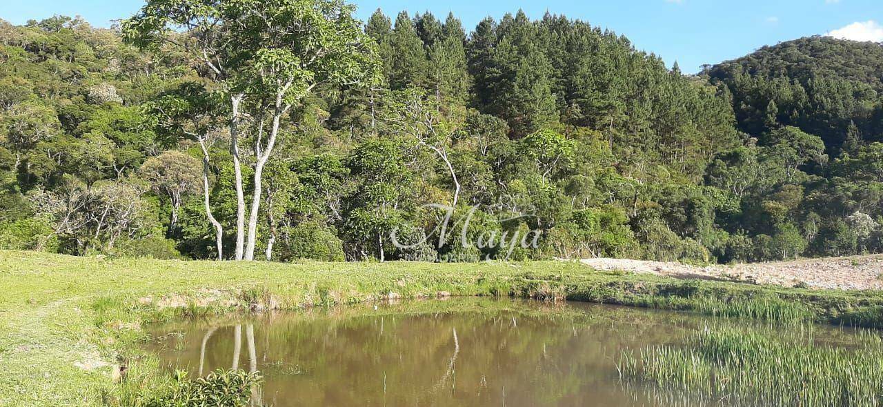 Terreno à venda, 140000M2 - Foto 6