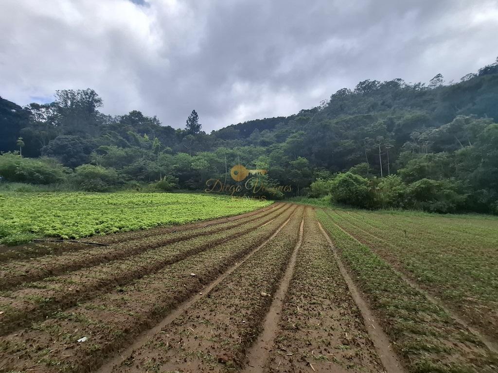 Sítio à venda com 5 quartos, 96800m² - Foto 59