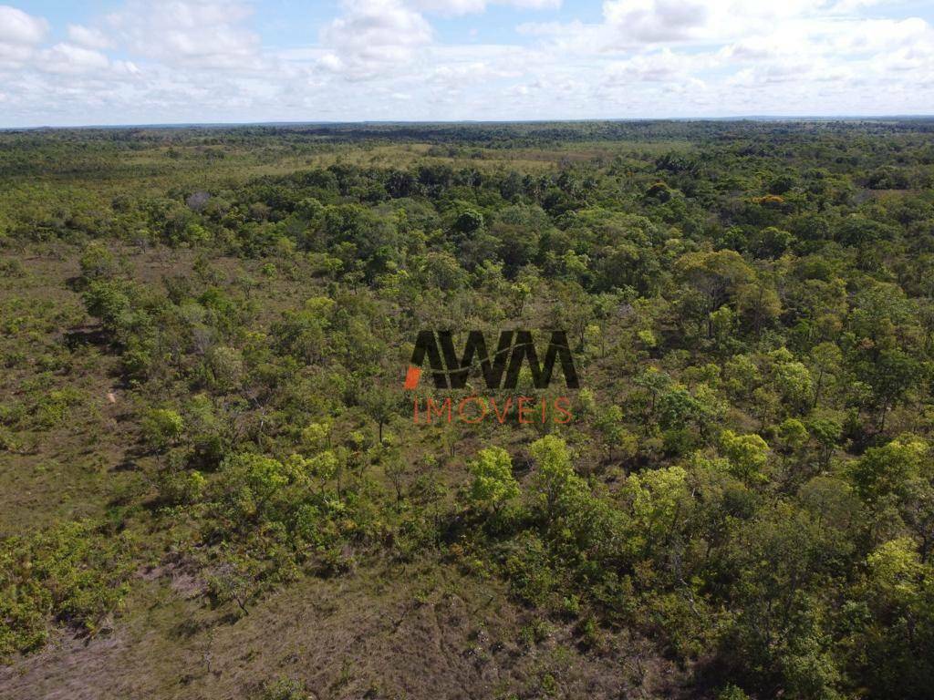 Fazenda, 760 hectares - Foto 3