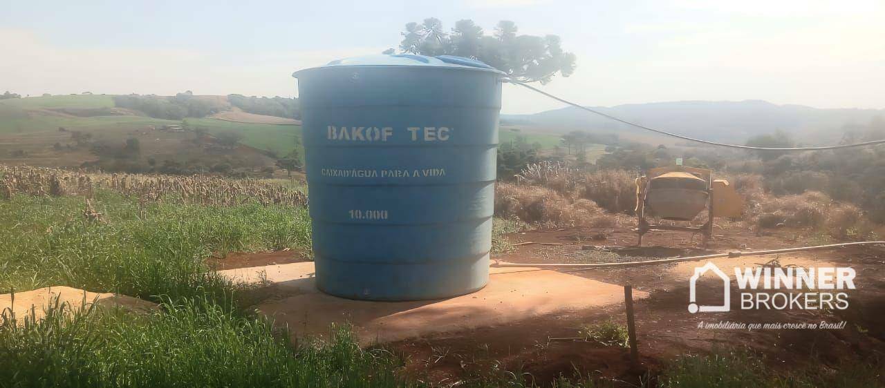 Fazenda, 15 hectares - Foto 5