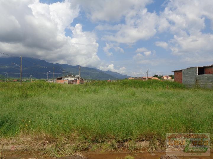 Terreno à venda, 250m² - Foto 4