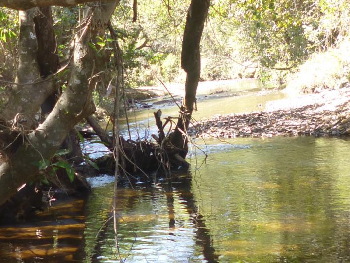 Fazenda à venda - Foto 29