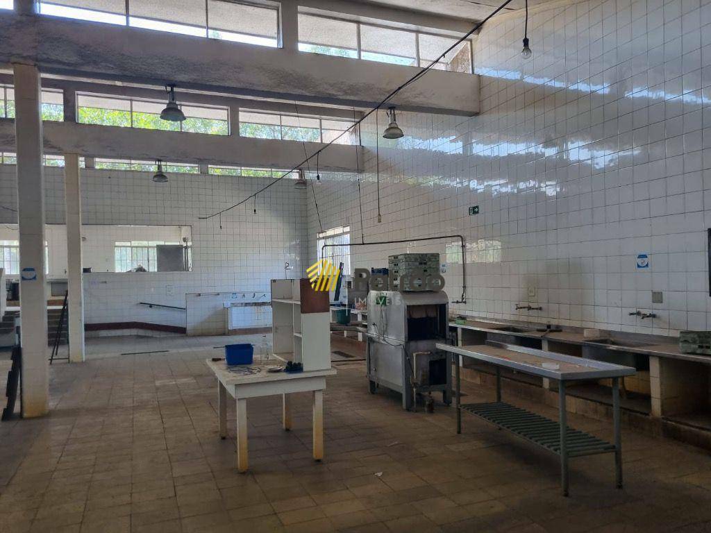 Terreno, 2 hectares - Foto 14