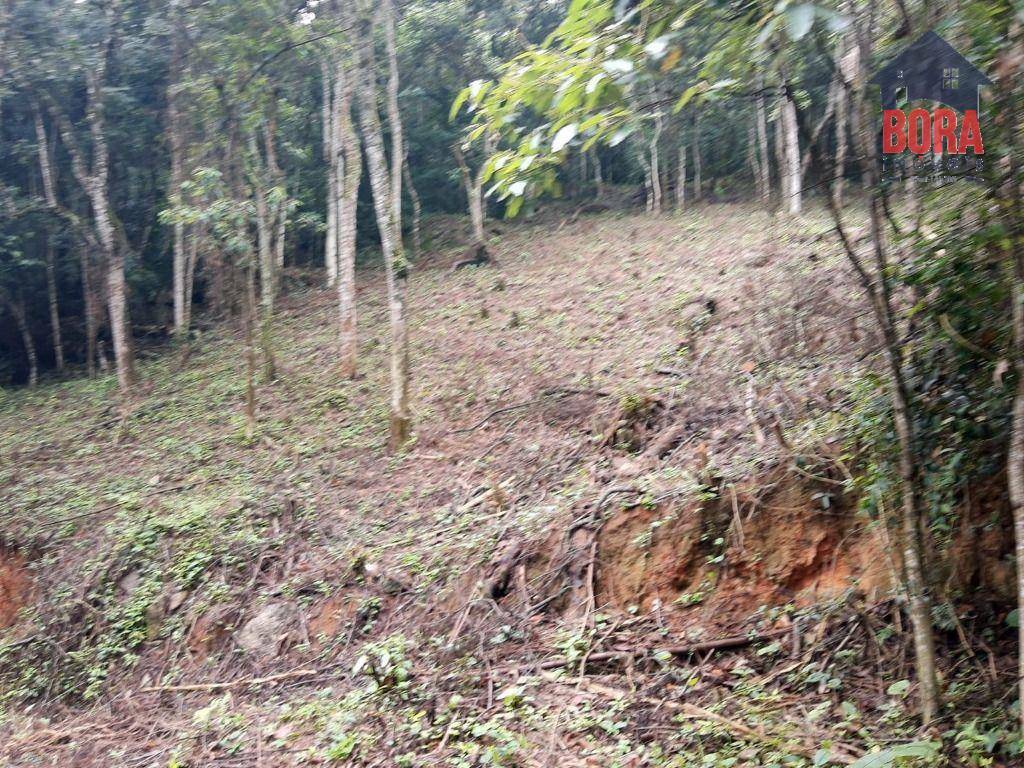 Loteamento e Condomínio à venda, 1250M2 - Foto 2