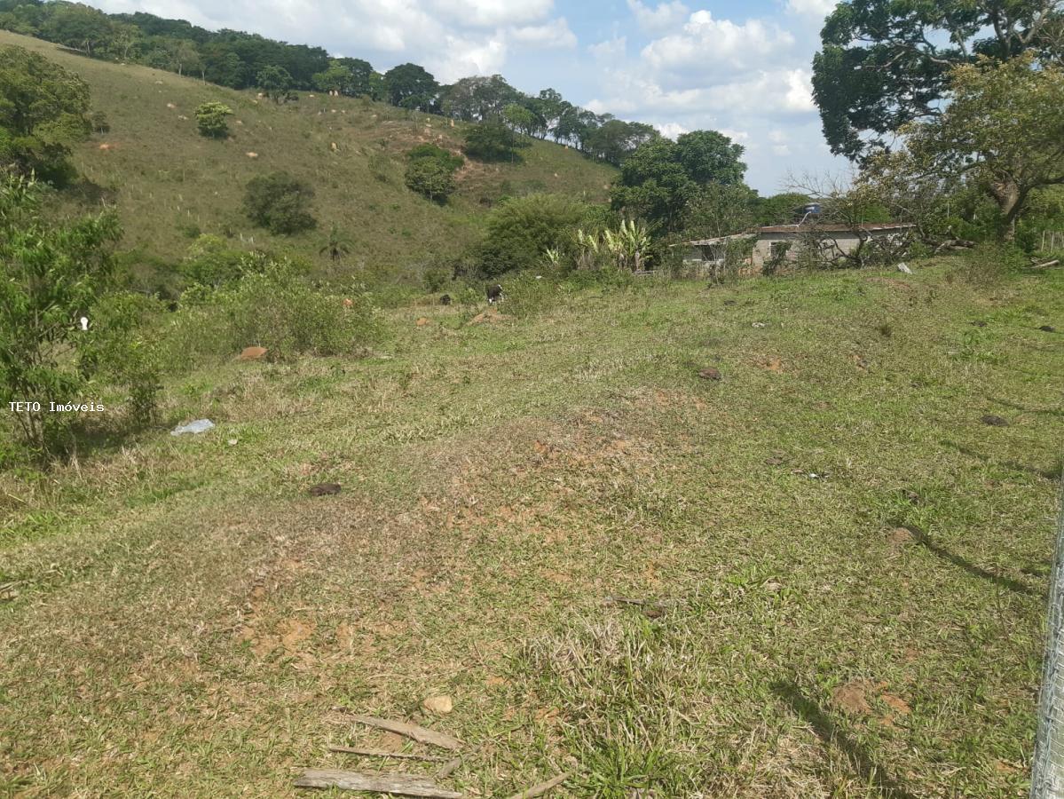 Fazenda à venda com 2 quartos, 4m² - Foto 6