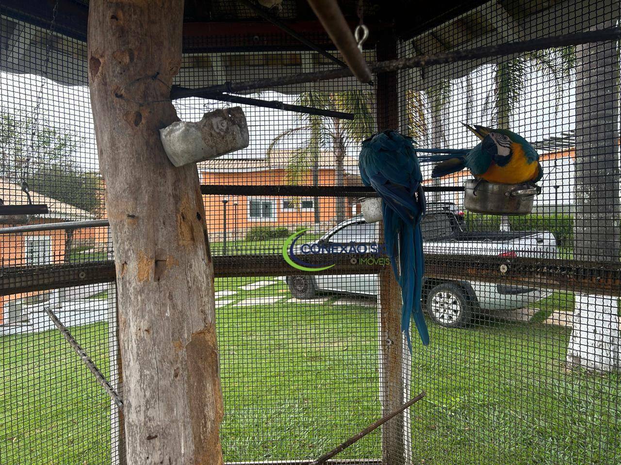 Chácara à venda com 4 quartos, 700m² - Foto 9