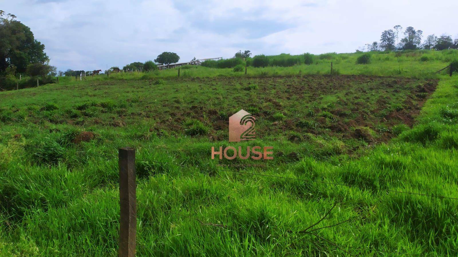 Fazenda à venda com 2 quartos, 133000M2 - Foto 22