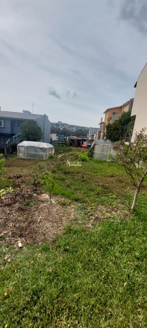 Terreno à venda, 360m² - Foto 4