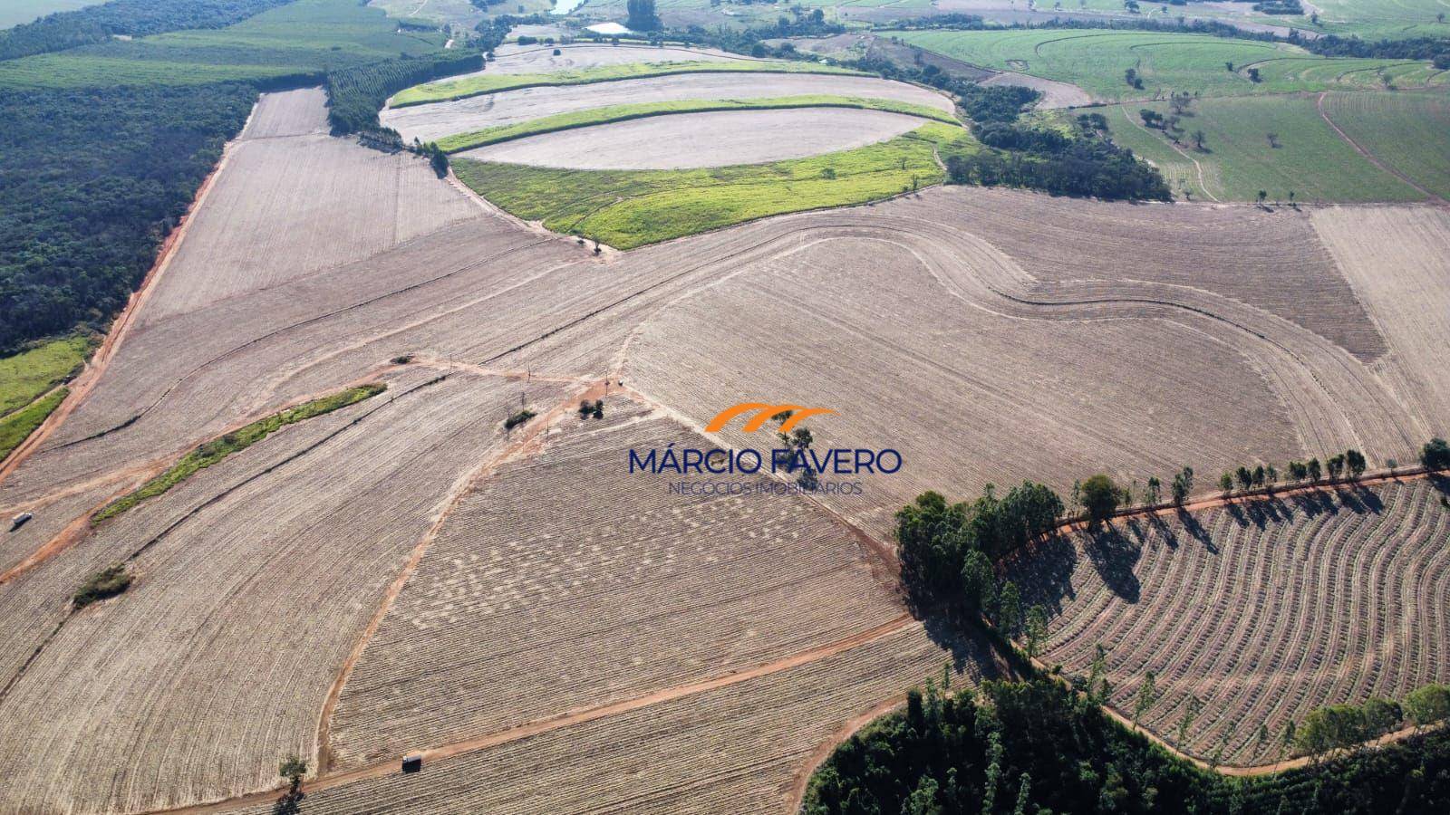 Fazenda, 78 hectares - Foto 5