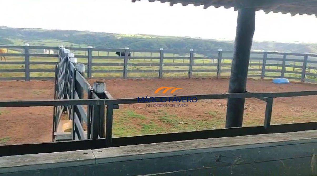 Fazenda, 557 hectares - Foto 5