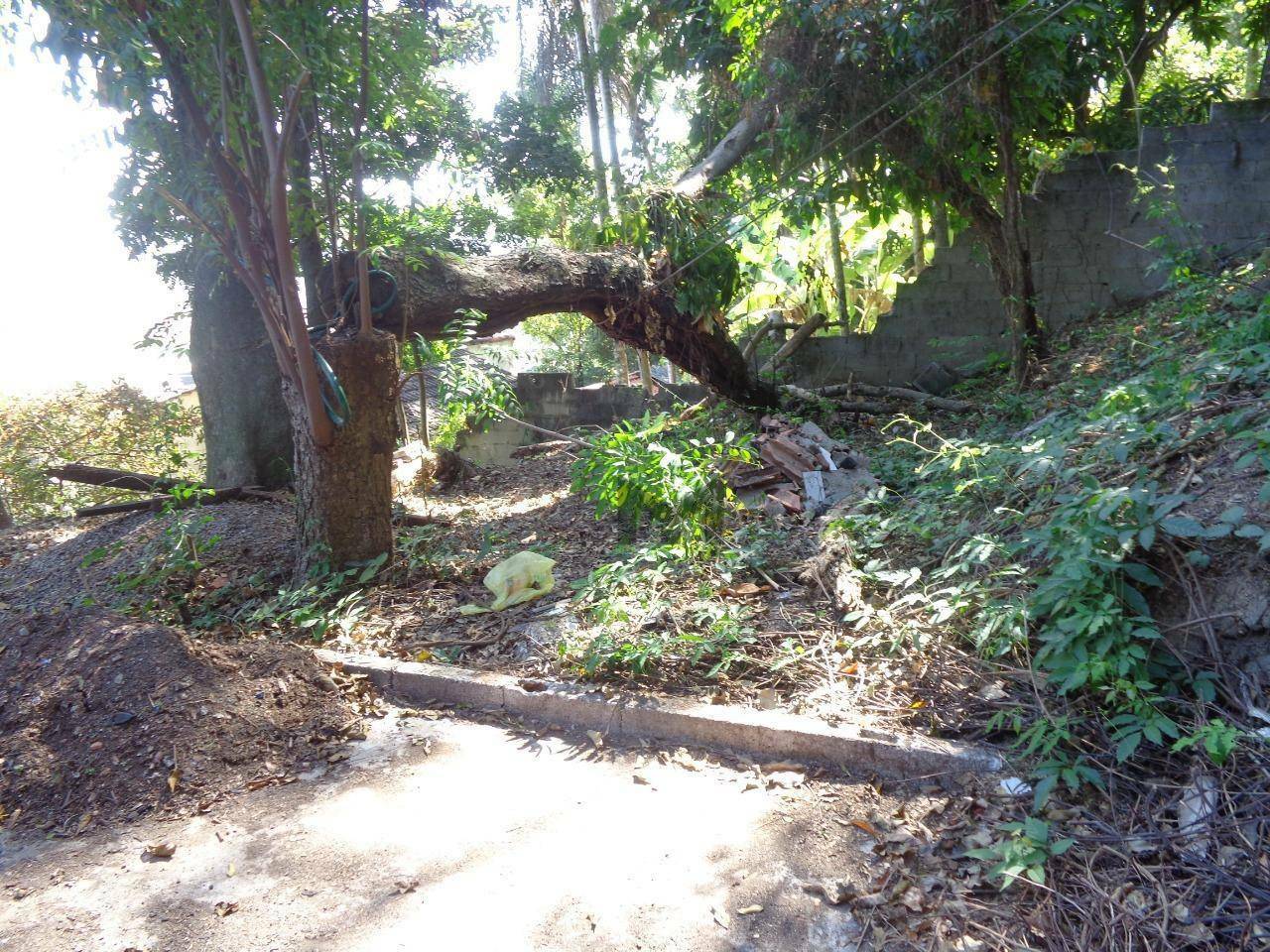 Terreno à venda, 740M2 - Foto 8