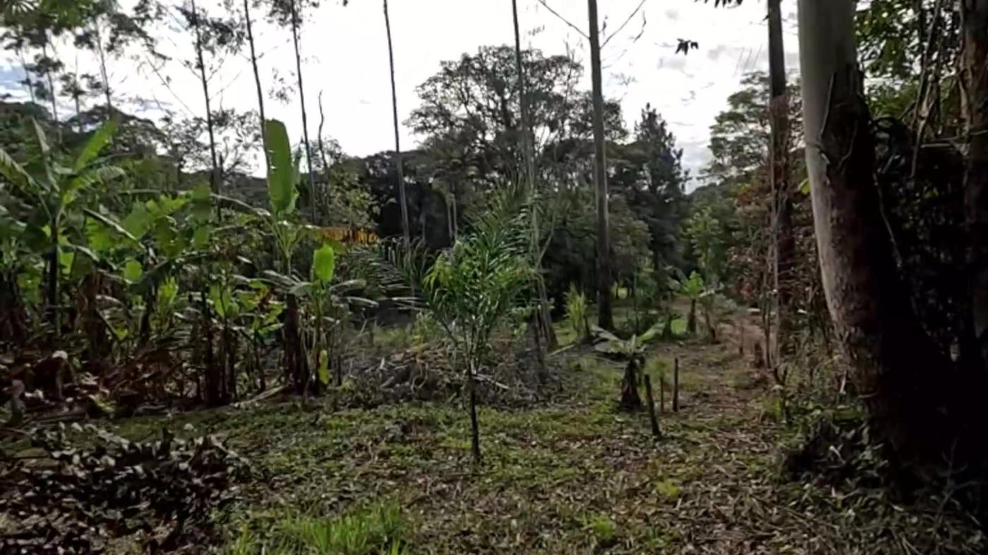 Casa de Condomínio à venda com 3 quartos, 3800m² - Foto 29