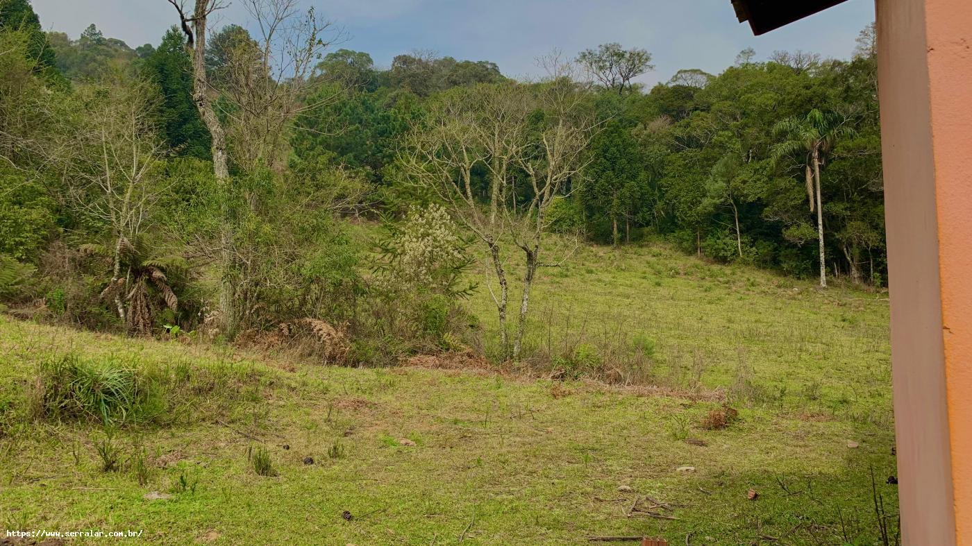 Fazenda à venda com 3 quartos, 83000m² - Foto 15