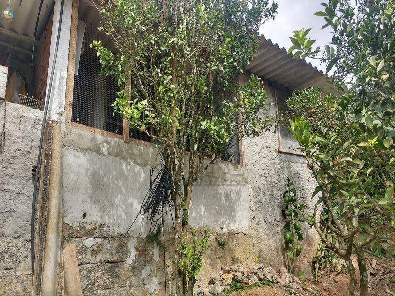 Chácara, 3 quartos, 1250 m² - Foto 6