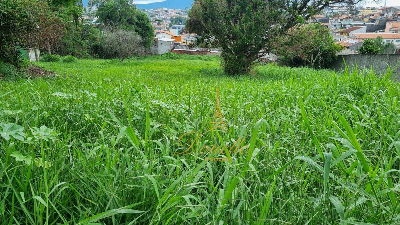 Terreno à venda, 5800M2 - Foto 6