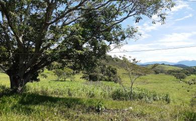 Fazenda à venda com 2 quartos, 210000m² - Foto 20