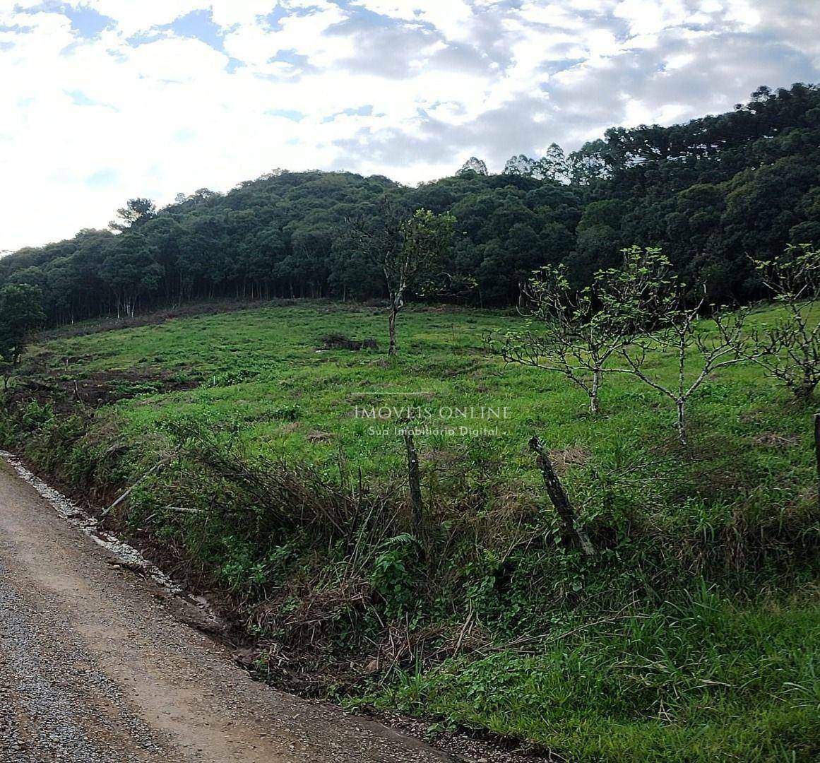 Chácara à venda, 20000M2 - Foto 3