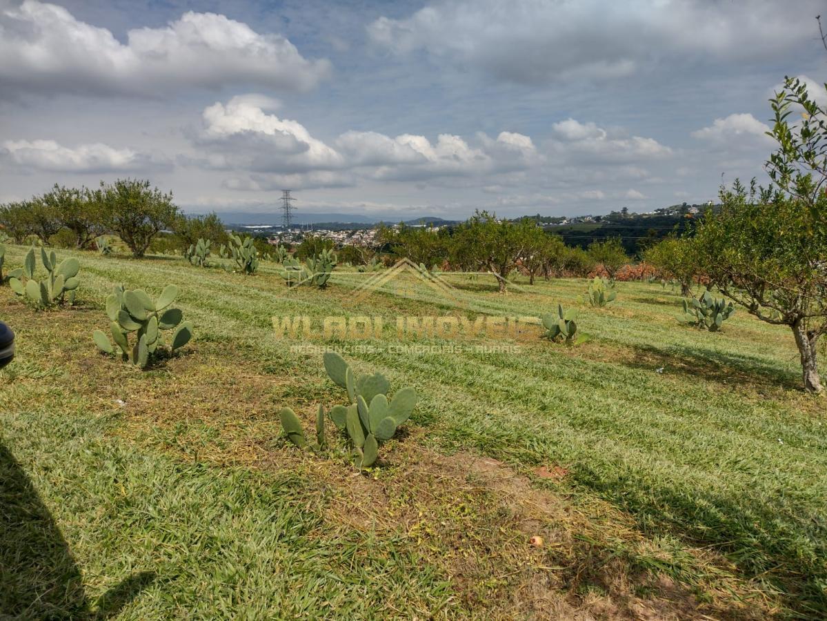 Fazenda à venda, 5m² - Foto 11