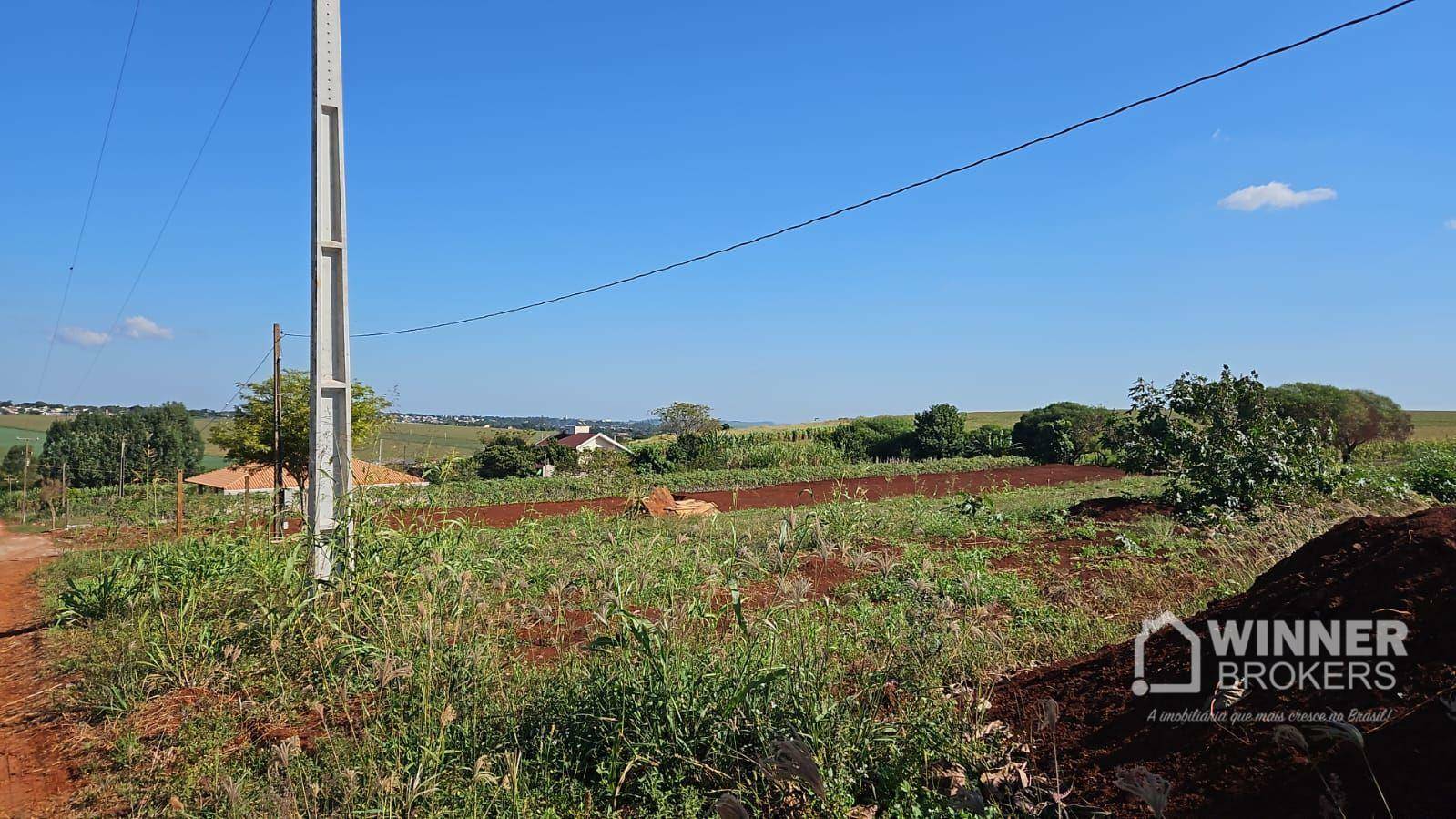 Chácara à venda com 1 quarto, 2500M2 - Foto 3