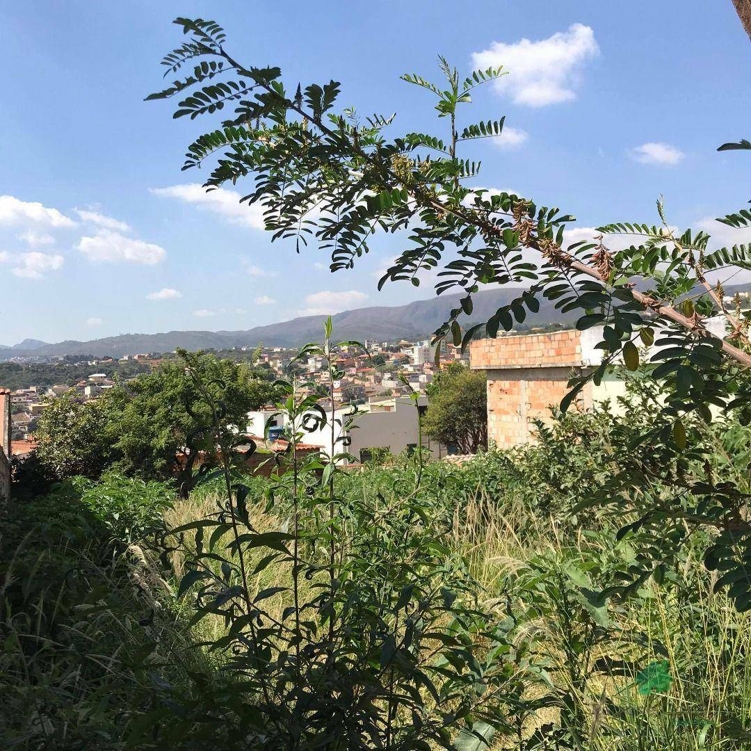 Terreno à venda, 360M2 - Foto 6