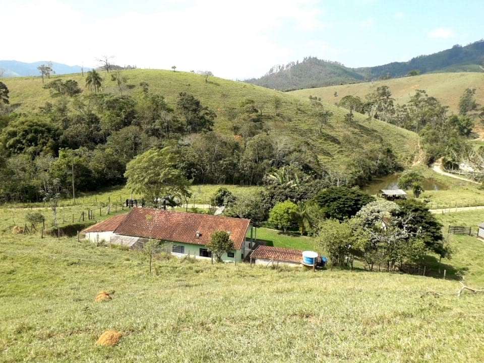 Terreno, 19 hectares - Foto 1